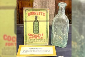 Patent Medicine Bottles