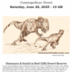 Dinosaurs & Fossils in Red Cliffs Desert Reserve